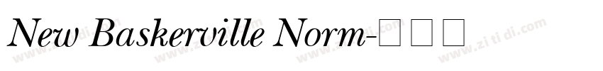 New Baskerville Norm字体转换